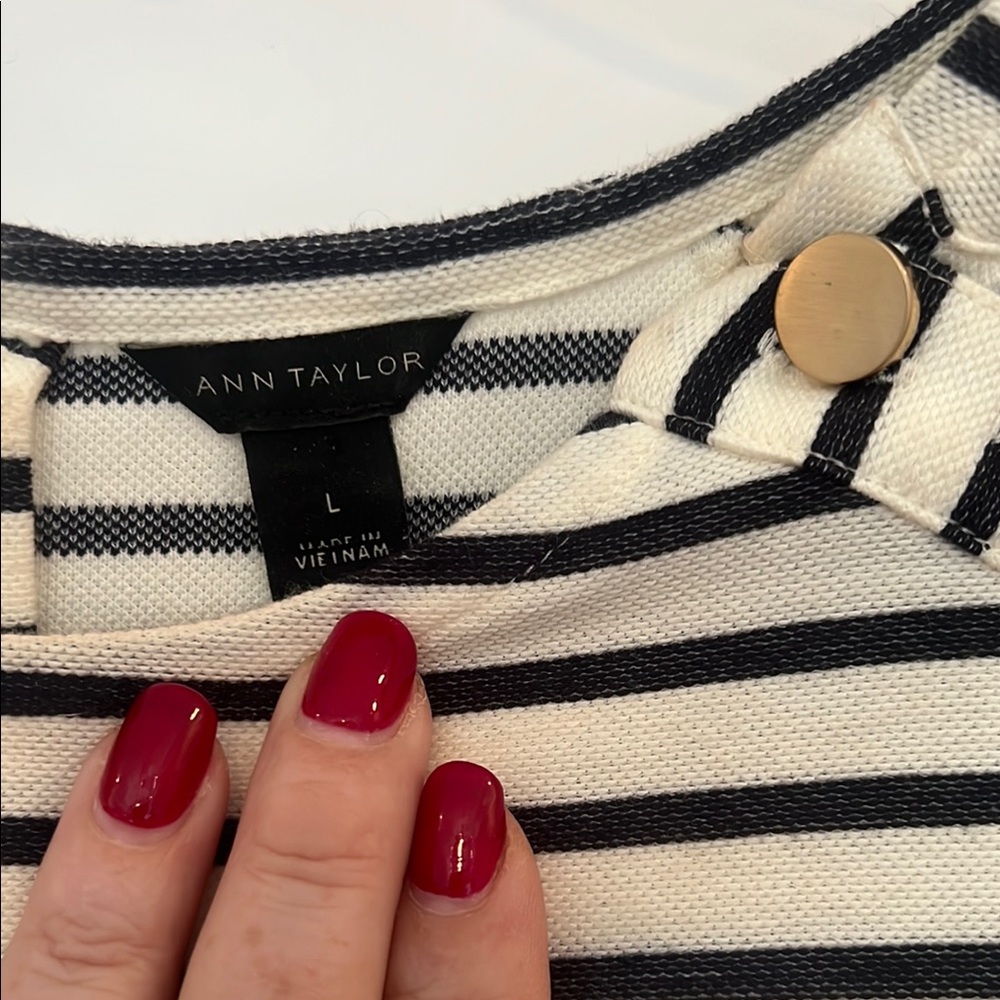 Ann Taylor Striped Black and White Dress - Picture 4 of 5